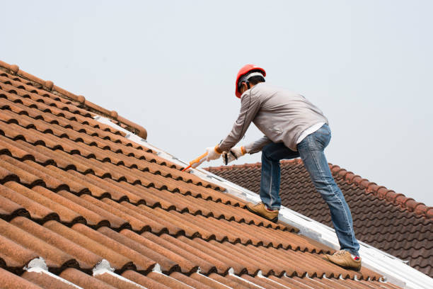 Best Rubber Roofing (EPDM, TPO)  in Lincoln, AL